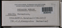 Image Associated With the Occurence